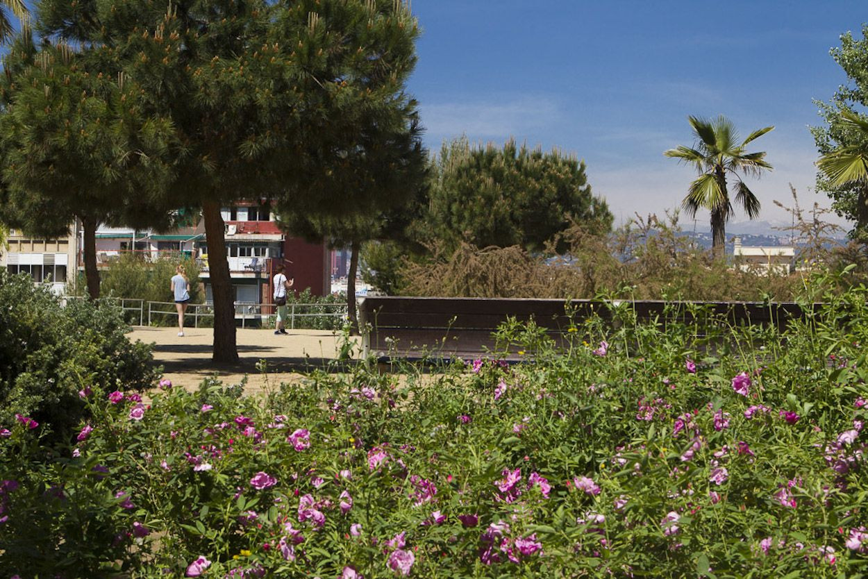 Fin de semana soleado en el parque de la Primavera / AJUNTAMENT DE BARCELONA