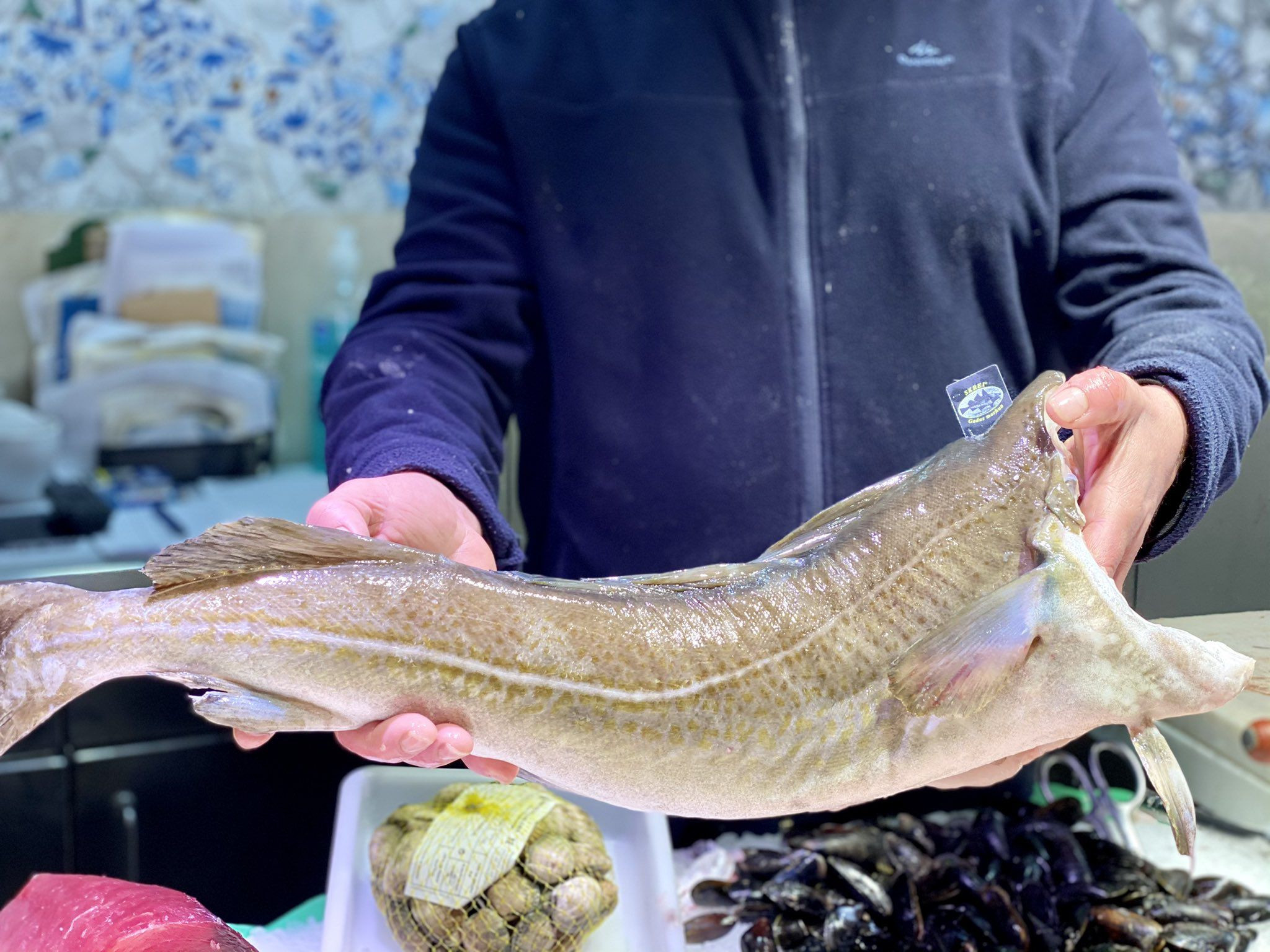 Un pescadero de la Boqueria sostiene un bacalao / MERCAT DE LA BOQUERIA