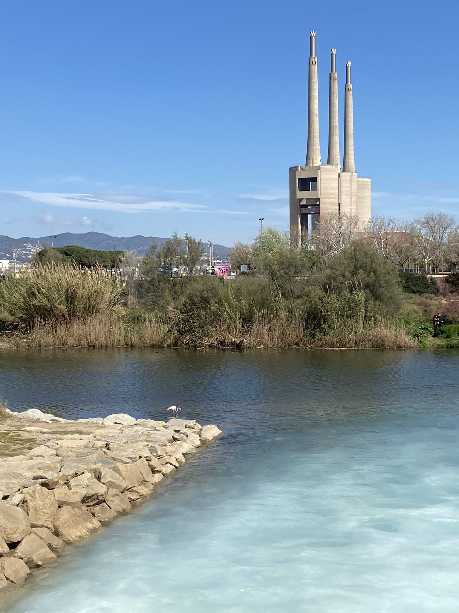 La desembocadura del río Besòs / REDES SOCIALES - RESIDENCIAMOSSE