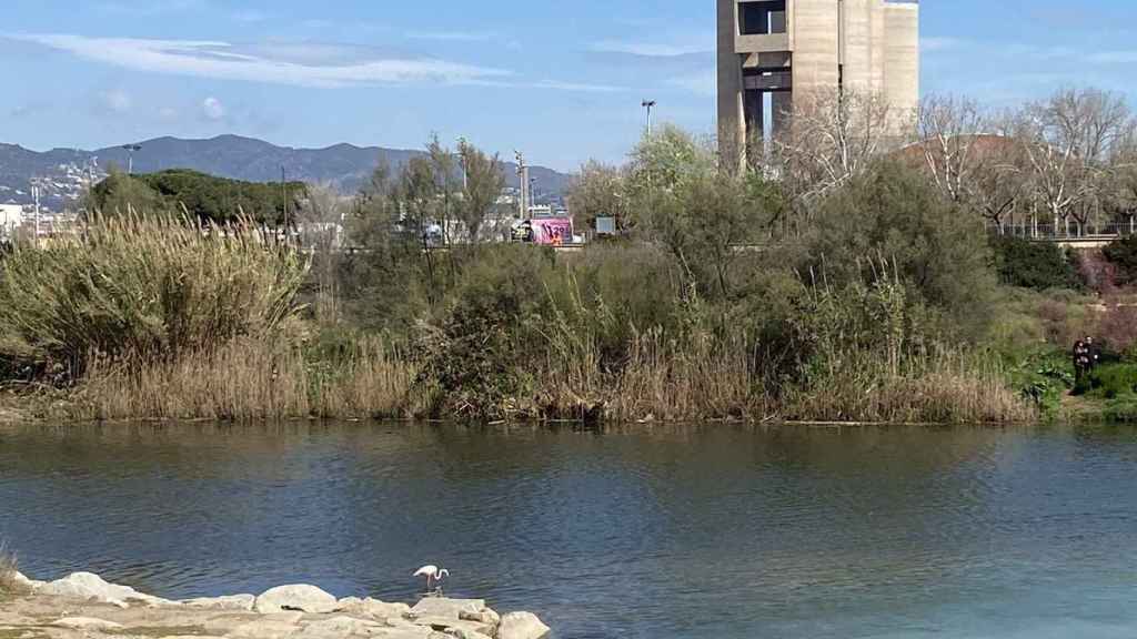 La desembocadura del río Besòs en una imagen de archivo