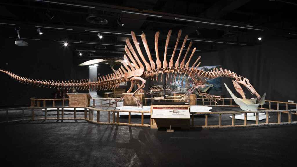 Interior del Museo de Ciencias Naturales de Barcelona