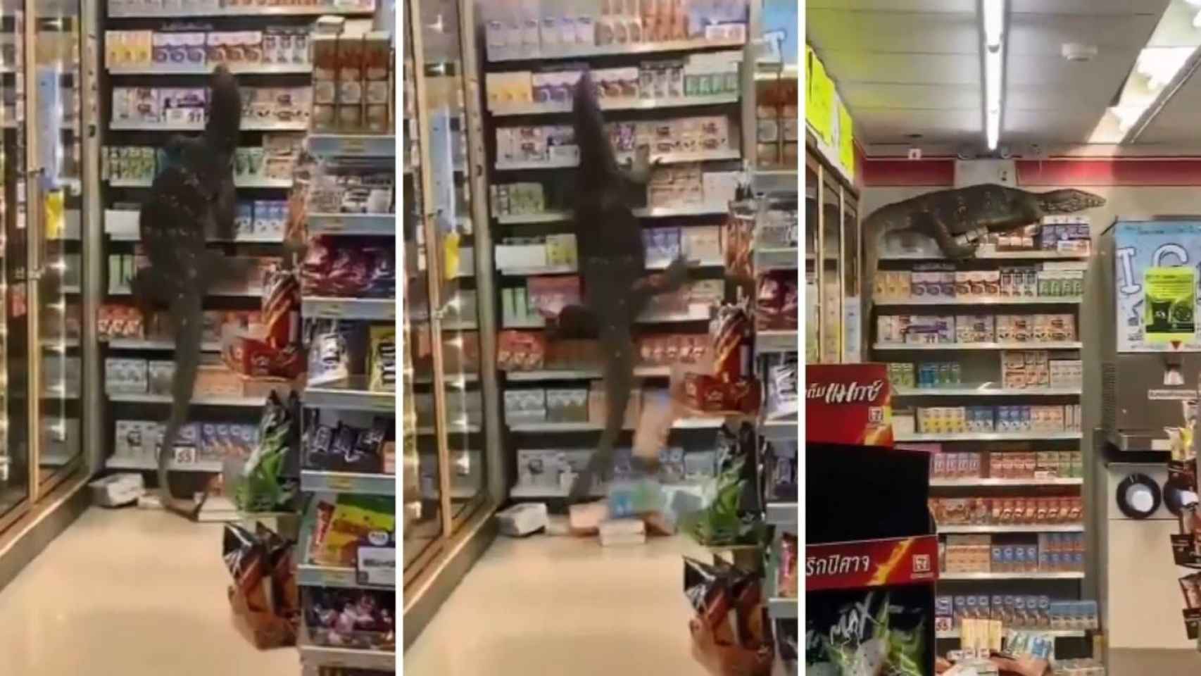 Lagarto de grandes dimensiones en un supermercado tailandés / REDES SOCIALES