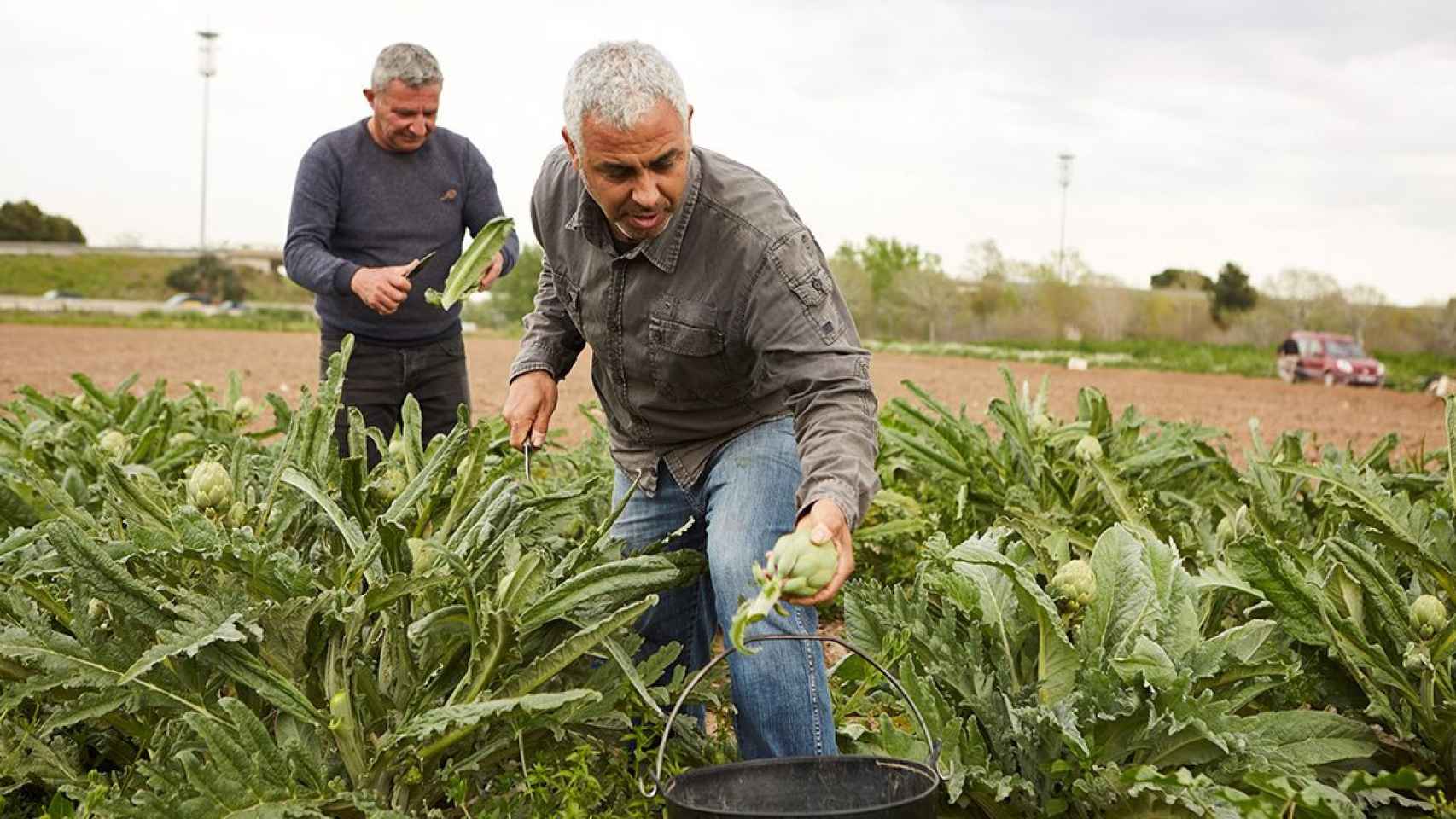 Agricultores en el ámbito rural / FUNDACIÓ LA CAIXA