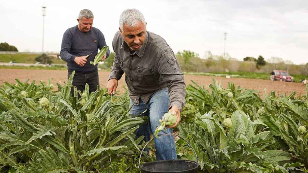 Agricultores en el ámbito rural / FUNDACIÓ LA CAIXA