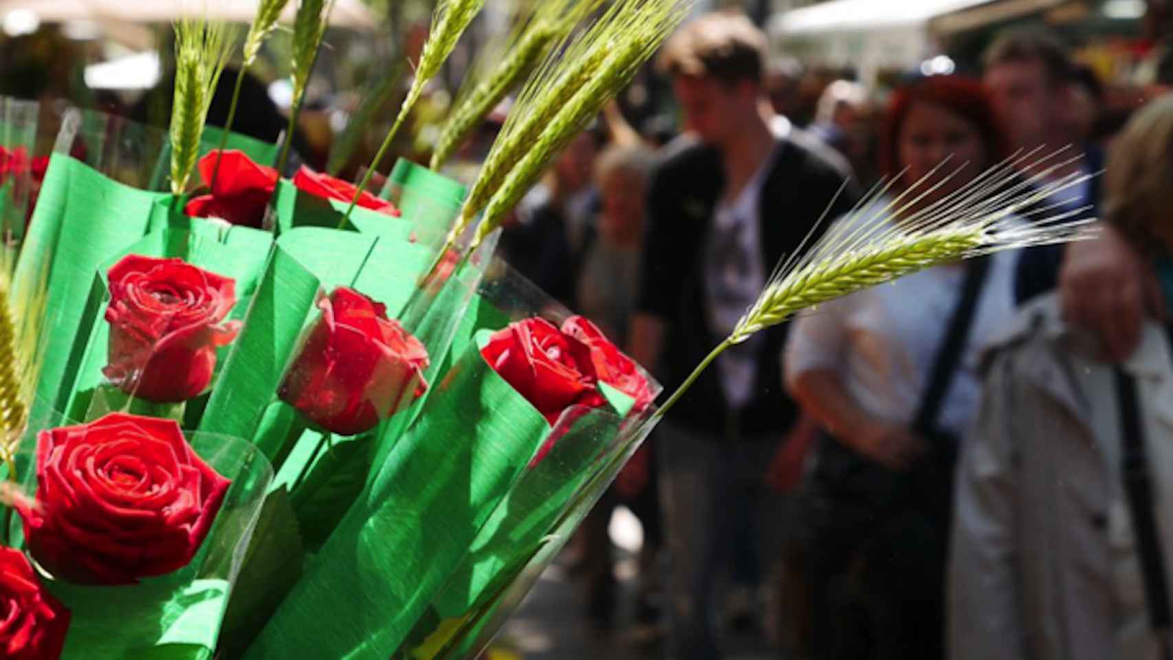 Rosas de Sant Jordi