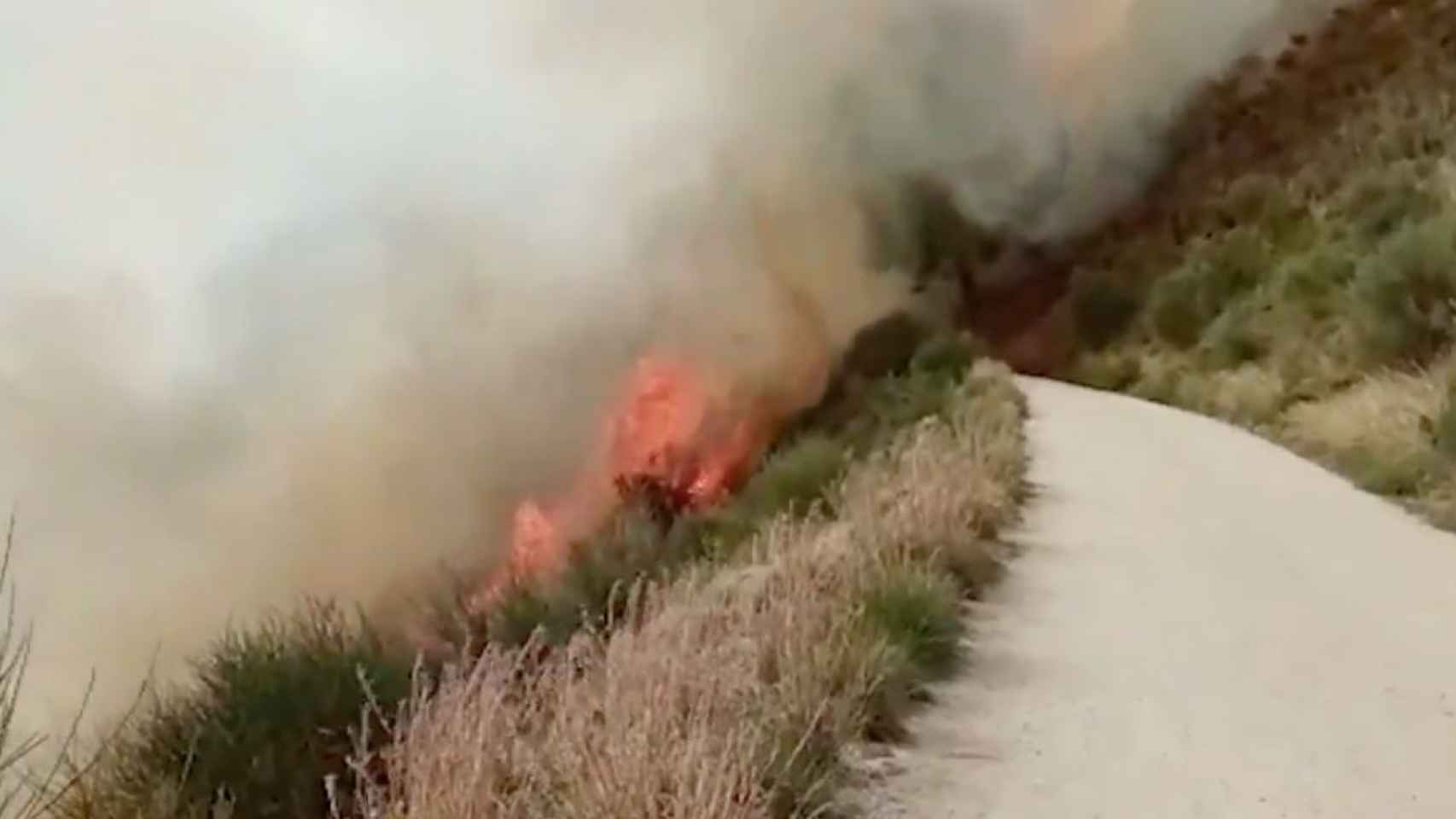 Fuego en Collserola este lunes / BOMBEROS BARCELONA