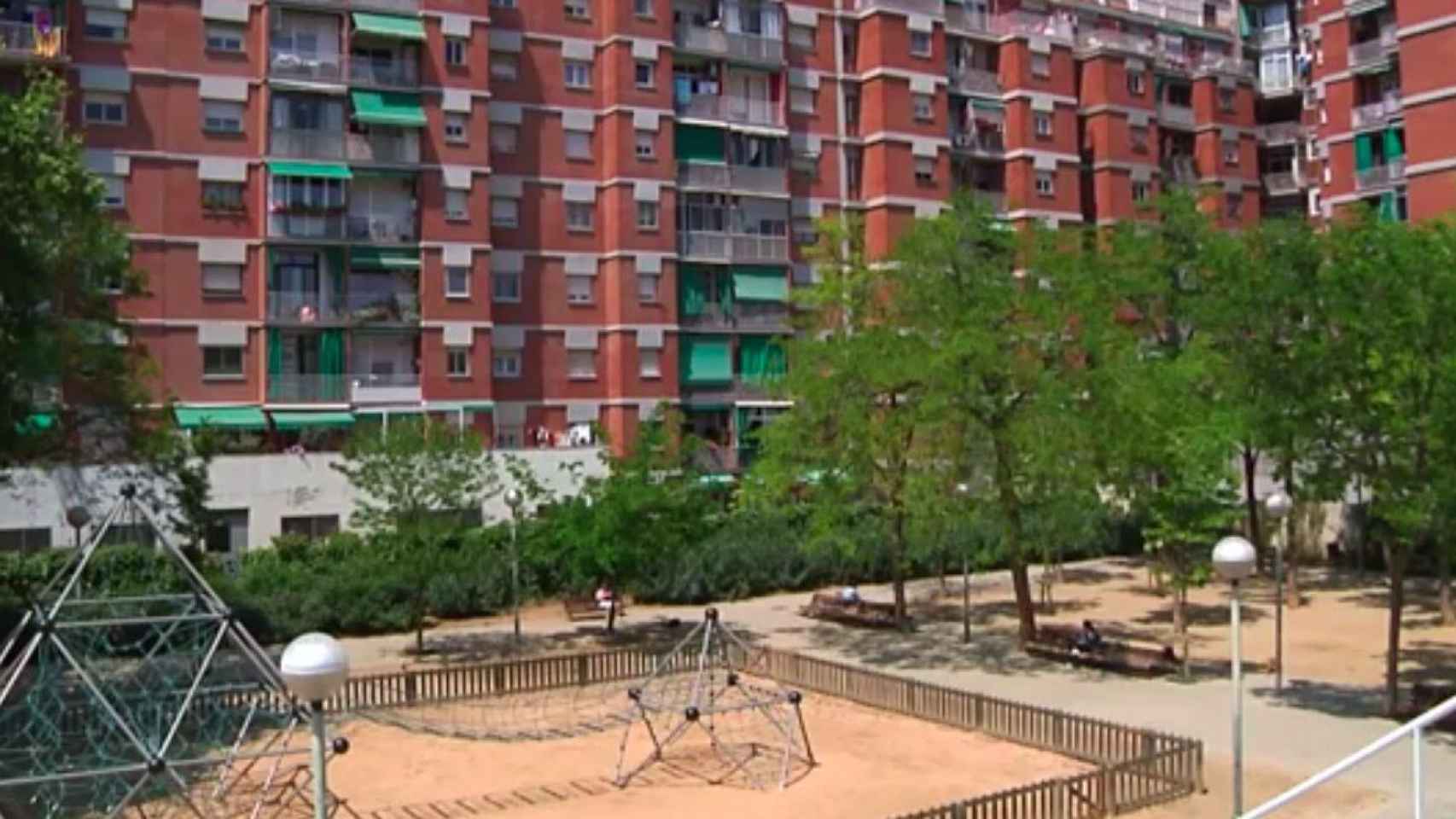 Vecinos denuncian que en este parque del Clot hay una plaga de mosquitos / BETEVÉ