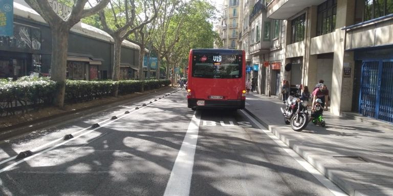 Un bus de TMB parado en el carril bus del paseo de Sant Joan, con parte del vehículo fuera / METRÓPOLI - JORDI SUBIRANA