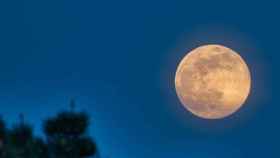 Superluna de flores en una imagen de archivo / Shutterstock.com