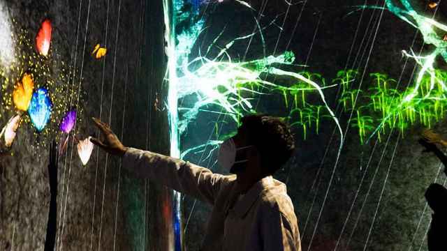 Exposición teamLab. Arte, tecnología, naturaleza / Fundación La Caixa