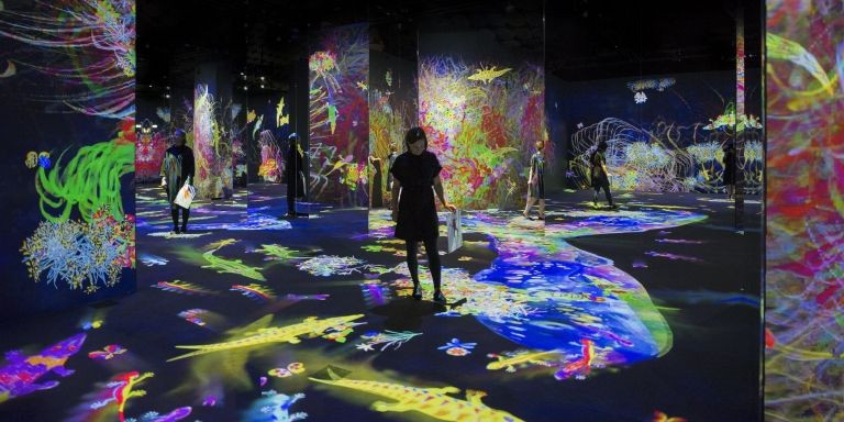 Instalación digital interactiva 'Graffiti Nature' / teamlab