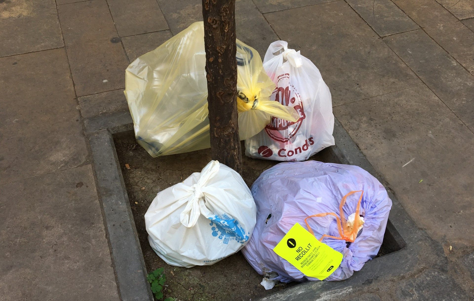 Bolsas de basura sin recoger en un alcorque de la calle de Coroleu, en Sant Andreu del Palomar / METRÓPOLI