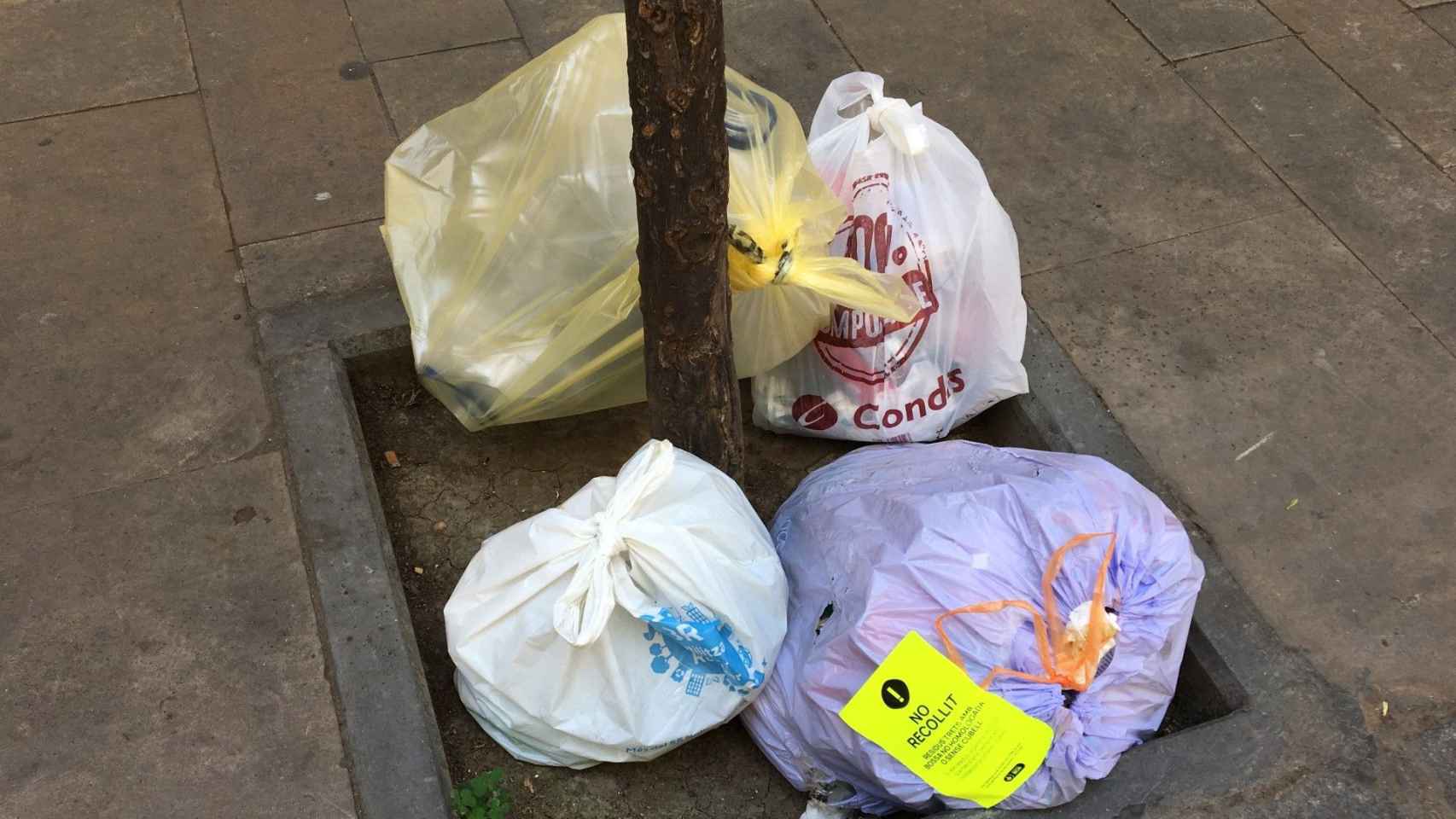 Bolsas de basura sin recoger en un alcorque de la calle de Coroleu, en Sant Andreu del Palomar / METRÓPOLI