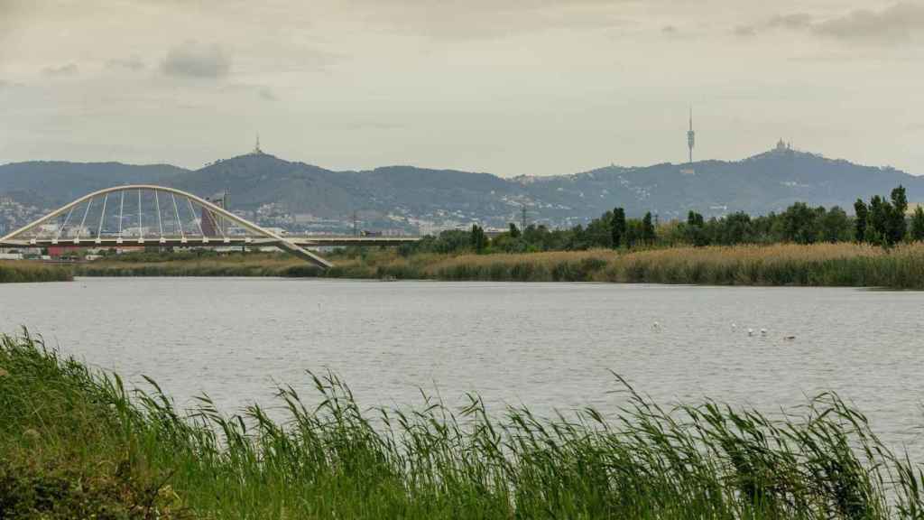 Barcelona y su área metropolitana apuestan por la economía circular para la reutilización del agua / AIGÜES de BARCELONA