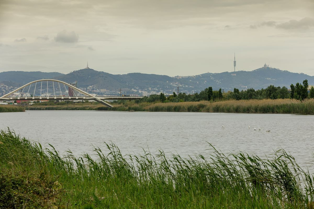 El agua es uno de los elementos más afectados por la emergencia climática / AIGÜES DE BARCELONA