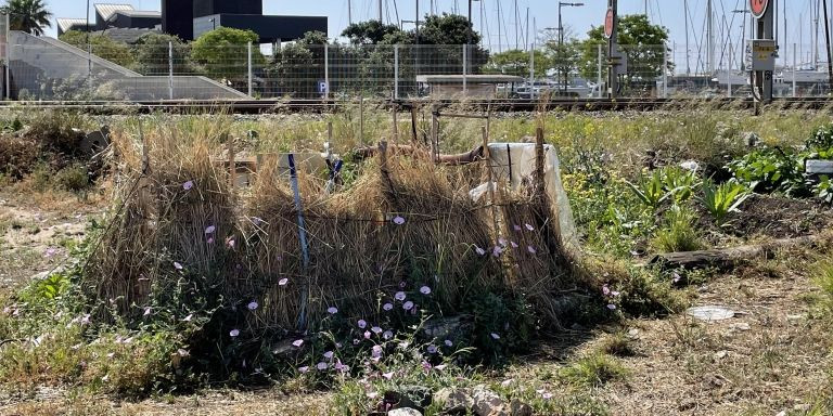 Un pequeño huerto protegido con cañas junto a las vías del tren en Badalona / DAVID GORMAN