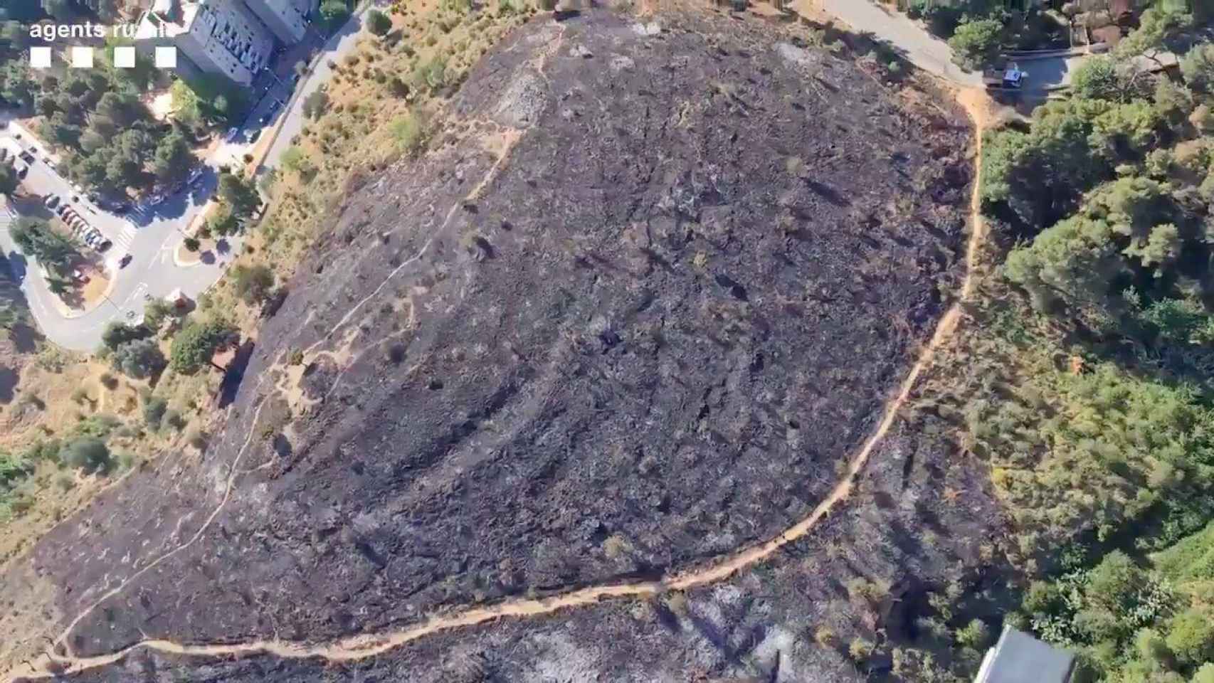 Así ha quedado Collserola tras el incendio de este martes / AGENTS RURALS