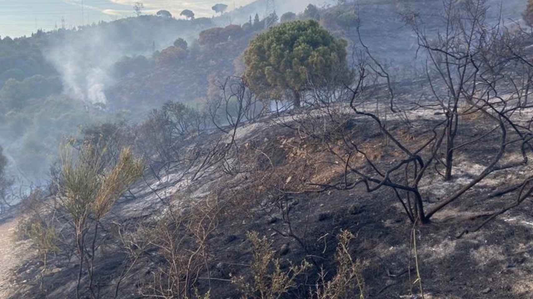 El incendio en Collserola / AJUNTAMENT DE BARCELONA