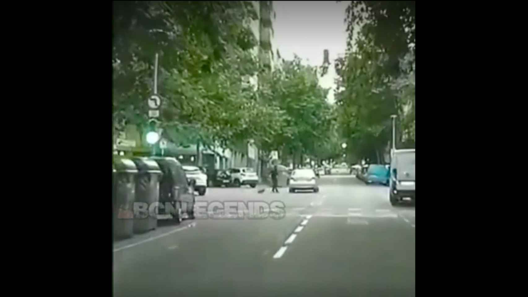 Un patinete se salta un semáforo y no acaba atropellado de milagro / BCN LEGENDS