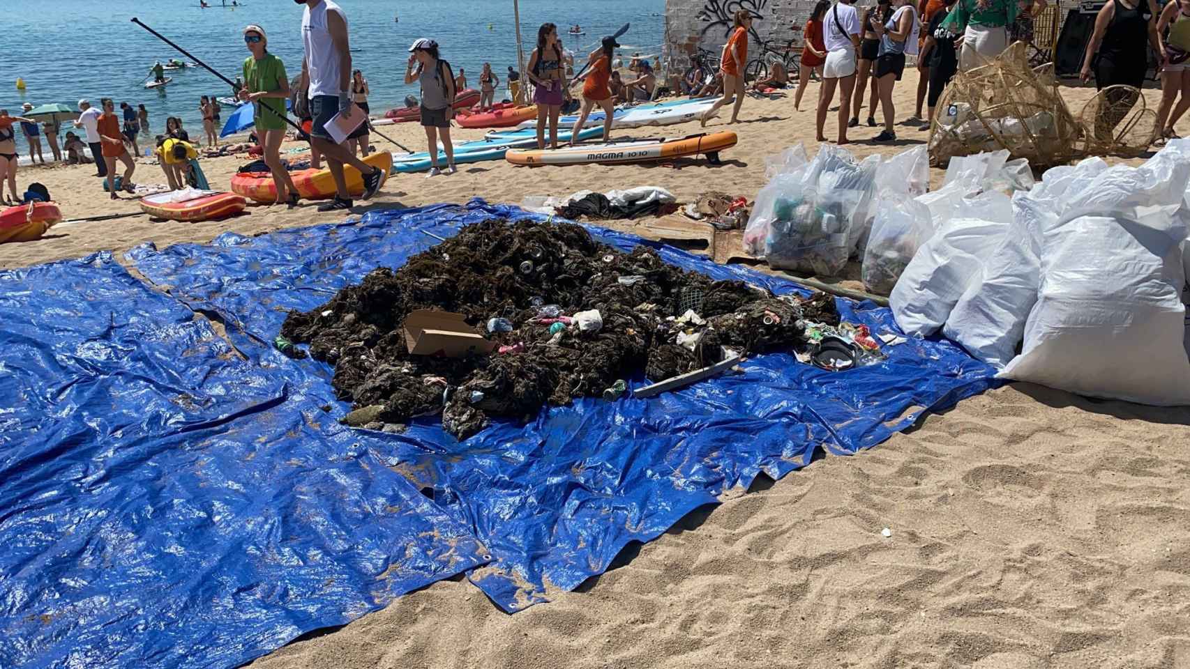 Basura recogida en las playas de Badalona este sábado / TOT BADALONA