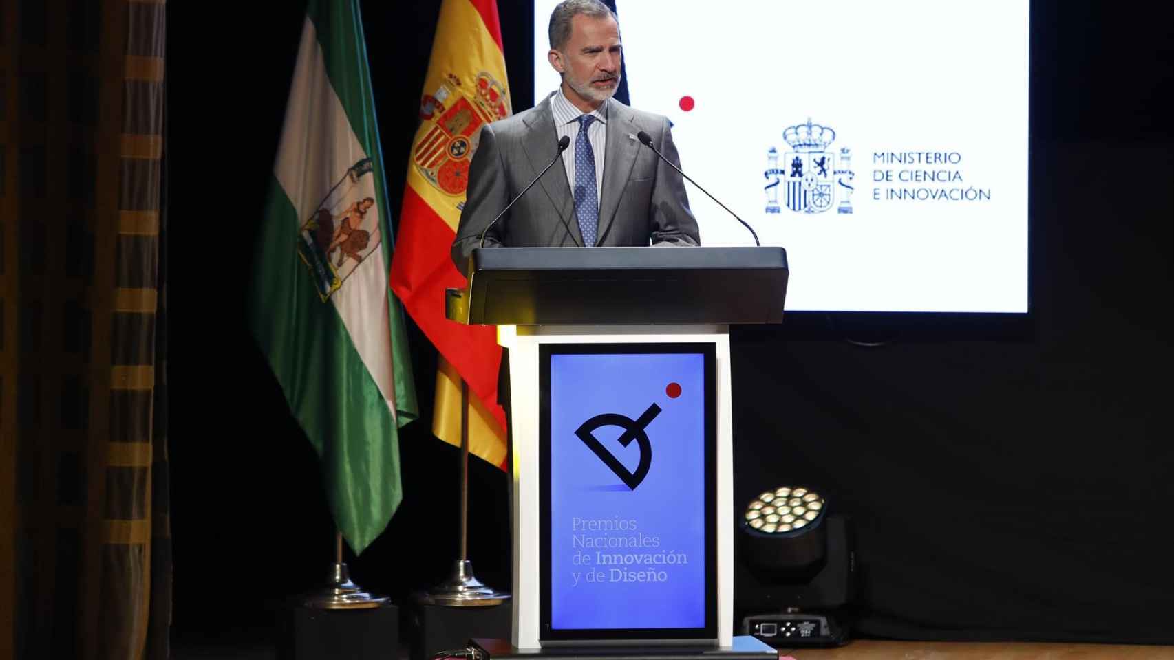 El Rey Felipe VI / EUROPA PRESS