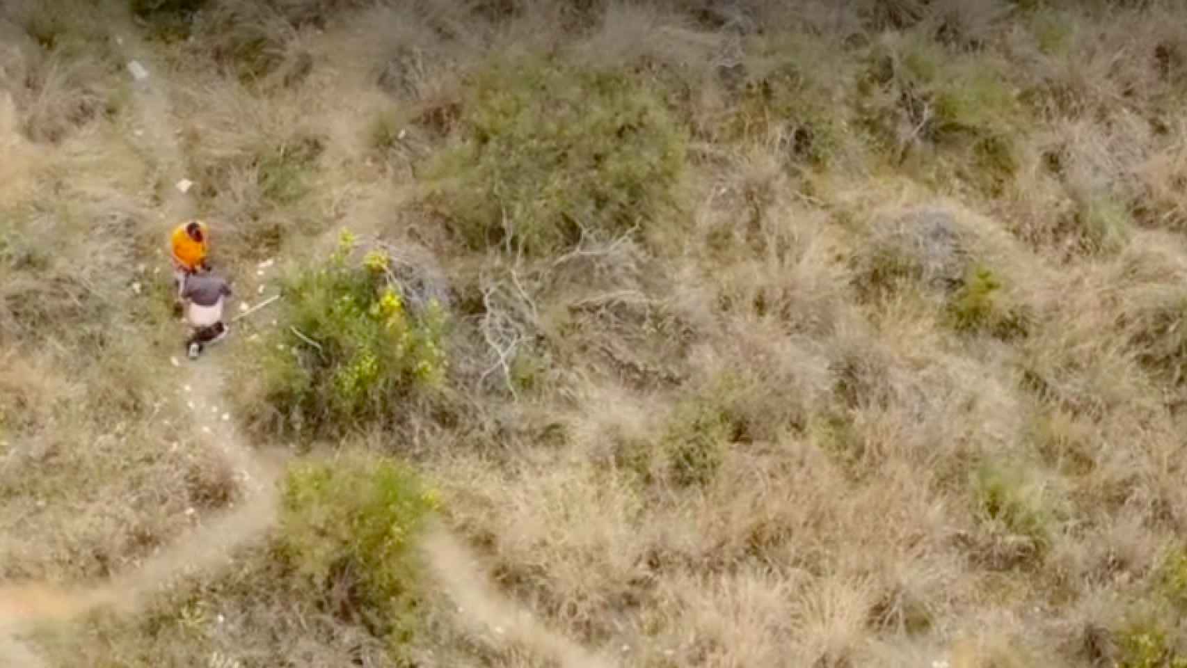 Una pareja practica sexo oral en la montaña de Collserola, uno de los vídeos más impactantes de la semana / METRÓPOLI