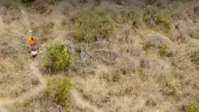 Una pareja practica sexo oral en la montaña de Collserola, uno de los vídeos más impactantes de la semana / METRÓPOLI