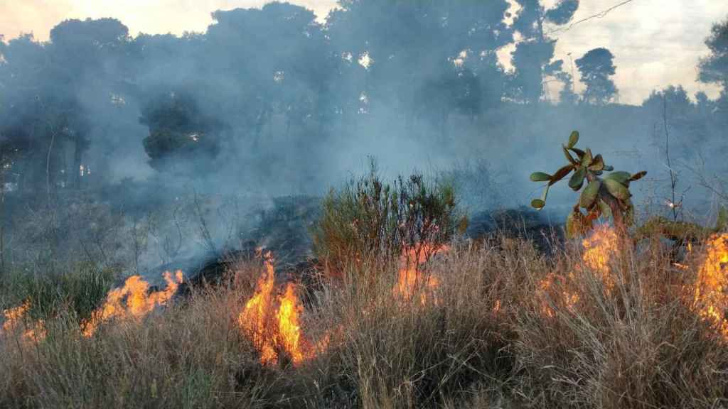 Incendio en Collserola / BOMBERS DE BARCELONA