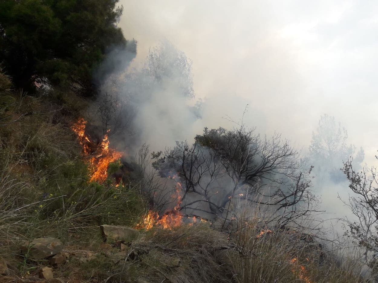 Llamas del incendio del entorno forestal del Vall d'Hebron / ARCHIVO