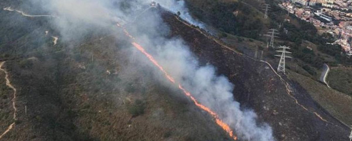 Imagen de un incendio intencionado en Collserola / BOMBERS DE LA GENERALITAT