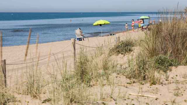 La Playa de Gavà, donde hay una playa para perros / AJ GAVÀ