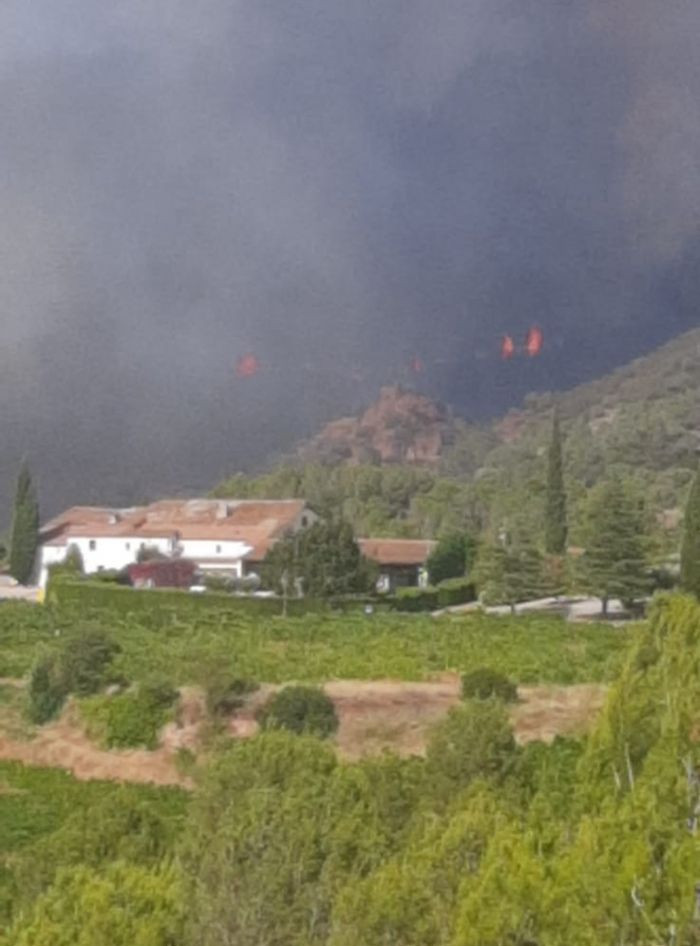 Casas cerca del fuego