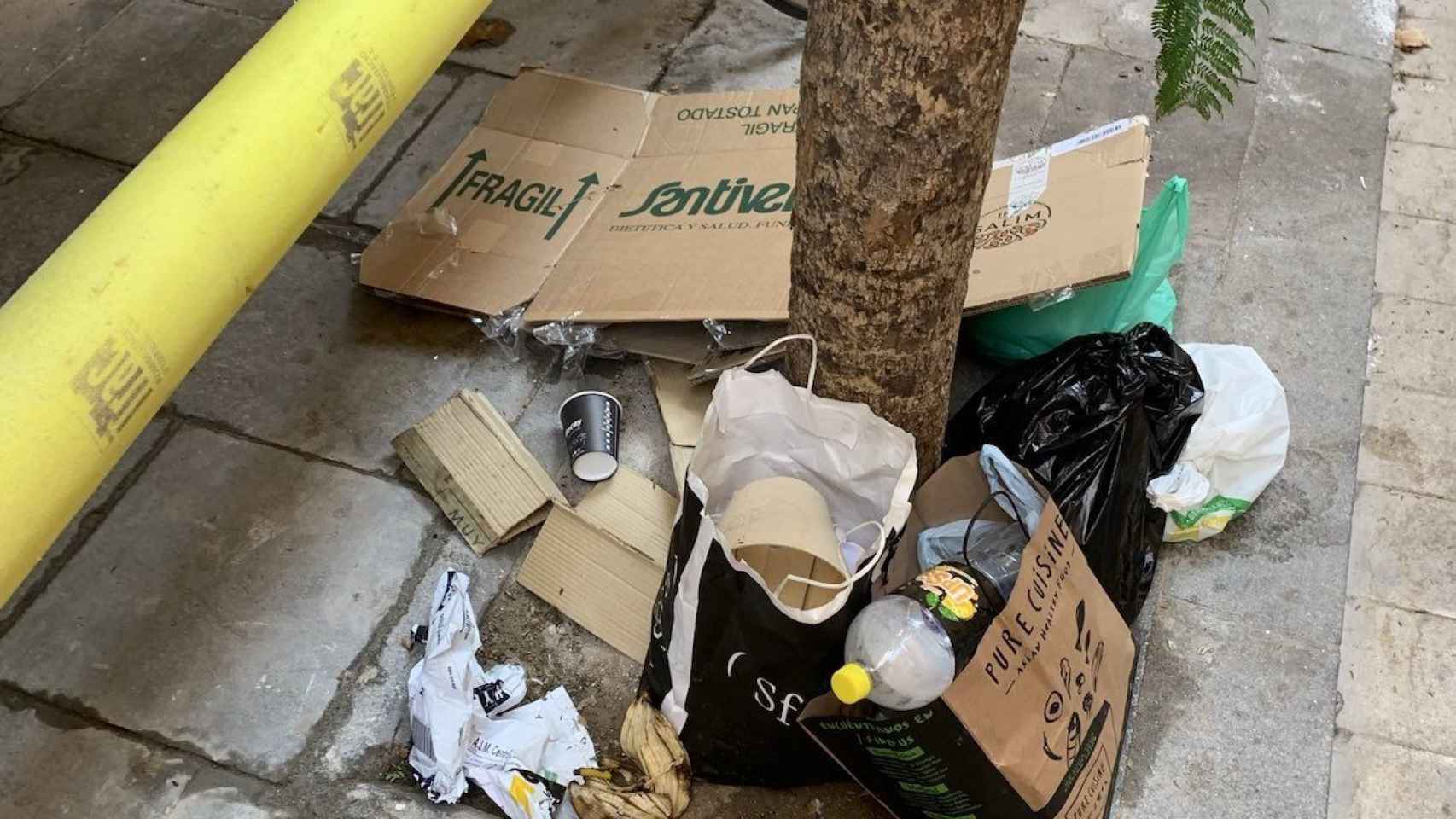 Alcorque de un árbol del barrio del Raval, lleno de basura / TWITTER