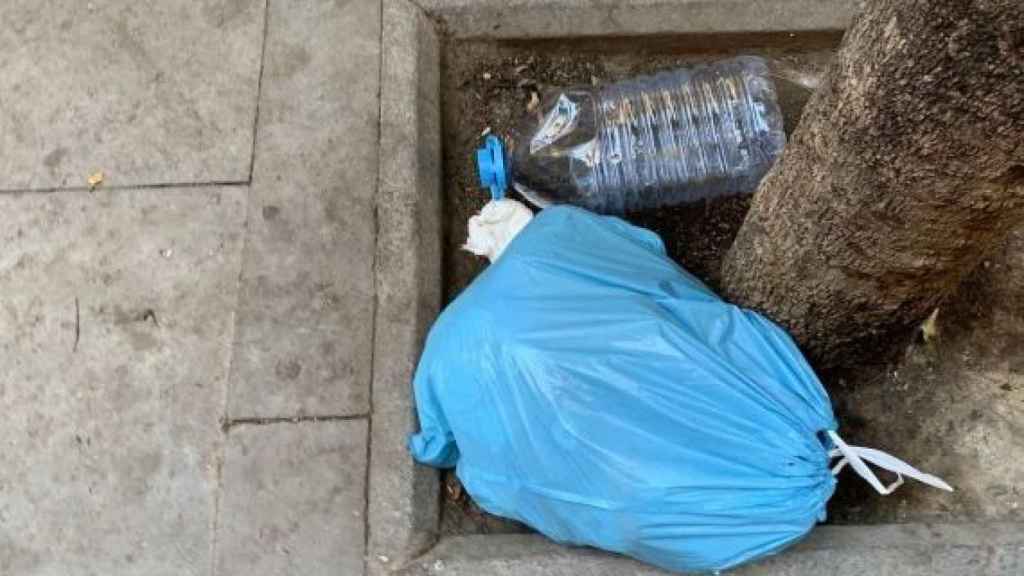 Alcorque de un árbol del barrio del Raval, lleno de basura / TWITTER