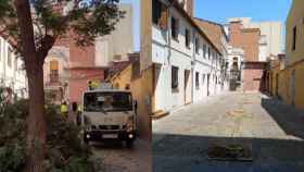 Dos imágenes de la tala de árboles de Sant Andreu / TWITTER ANNA SATORRA