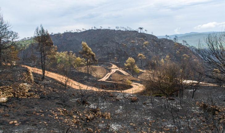 Estado de las inmediaciones de Santa Coloma de Queralt desde el Castillo de Queralt tras el incendio / EUROPA PRESS