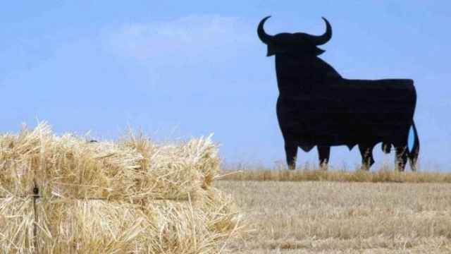 15281073258477_570x340