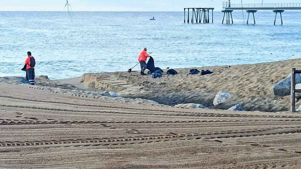 Operarios de limpieza este domingo en una playa de Badalona / @2Putxinellii