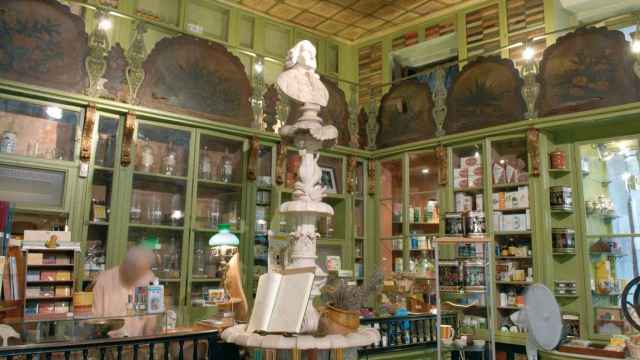 El interior de la Herboristeria del Rei, con la fuente y el busto de Carl von Linné