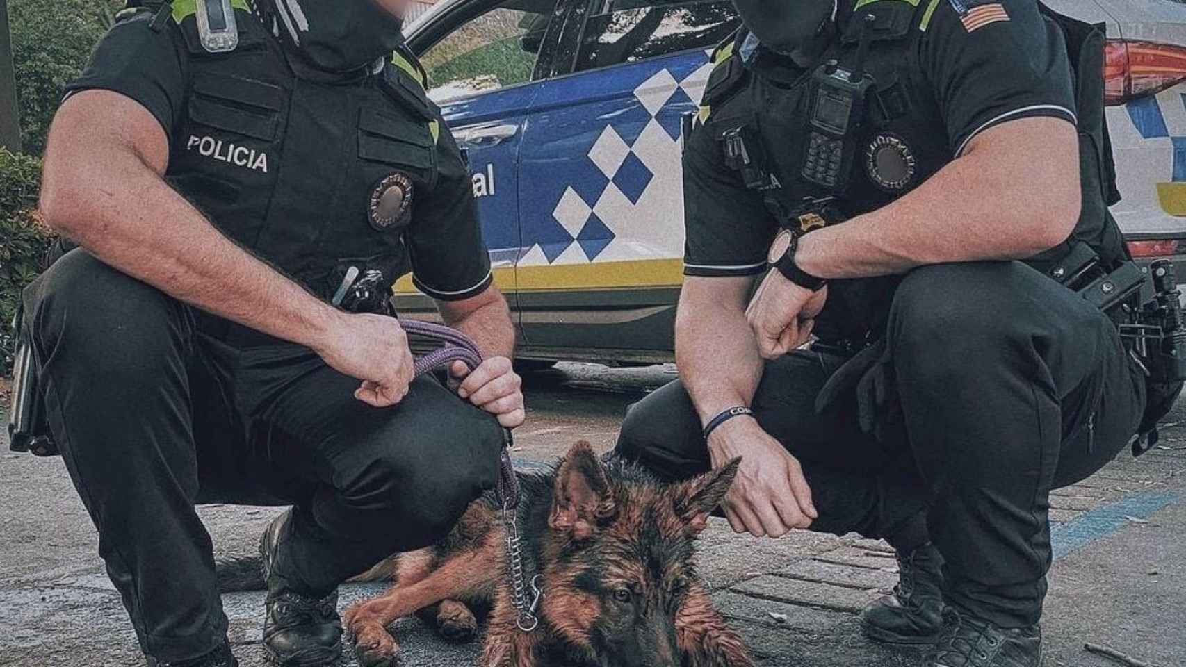 El perro abandonado rescatado por la policía / GUARDIA URBANA DE BARCELONA