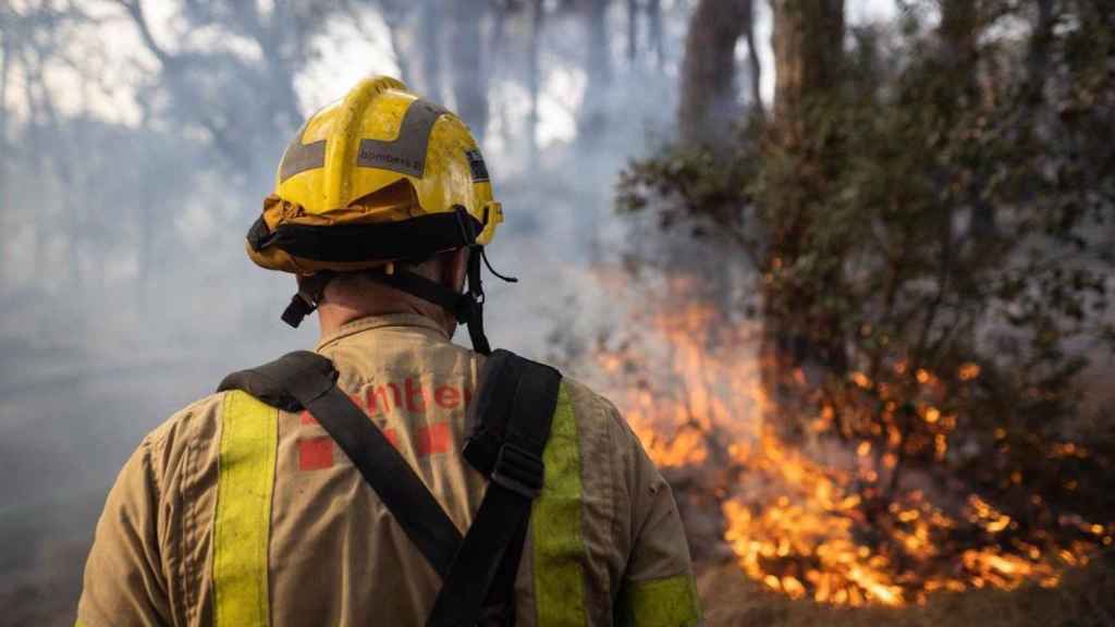 Un bombero de la Generalitat apaga un incendio forestal en Collserola