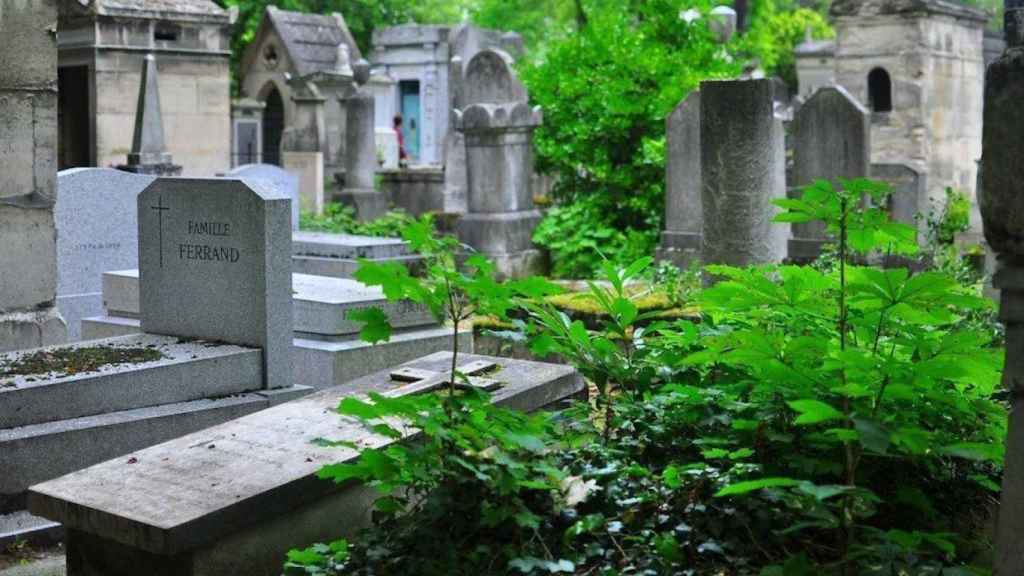 Un cementerio en el bosque / EFE