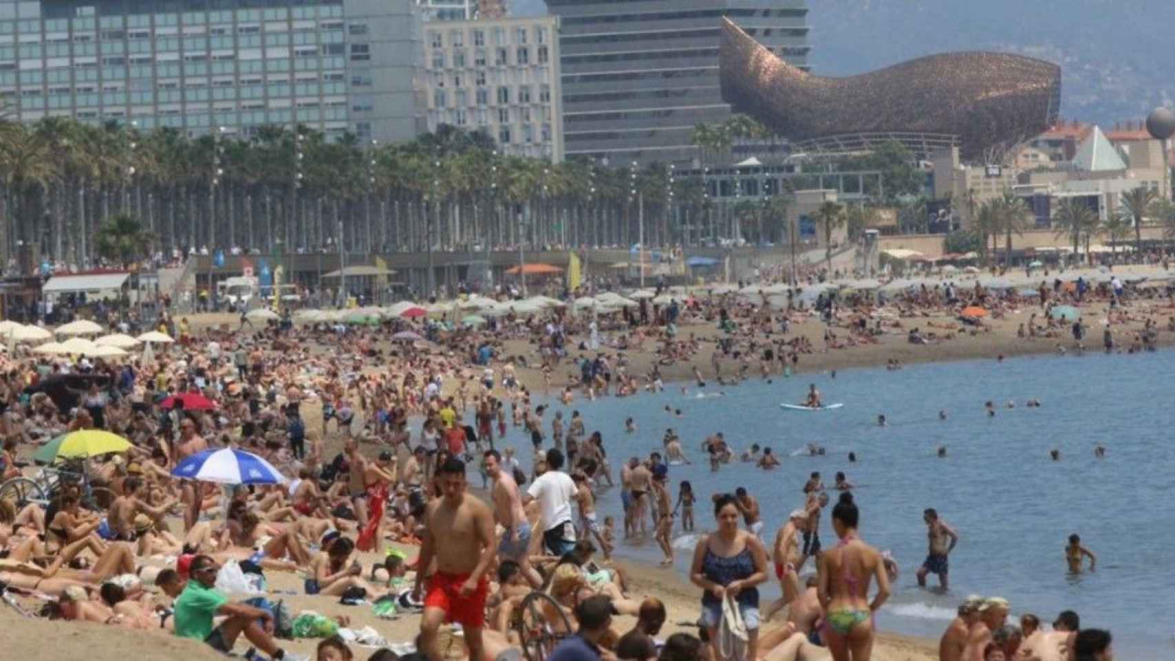 Bañistas en la playa de la Barceloneta, en Barcelona / EFE