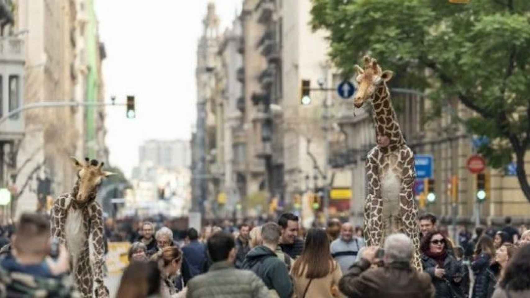 Calle cortada al tráfico por el programa 'Obrim Carrers' / AJ BCN