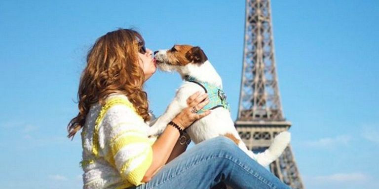 Eddie en París junto a su dueña Anna, con la torre Eiffel al fondo / INSTAGRAM