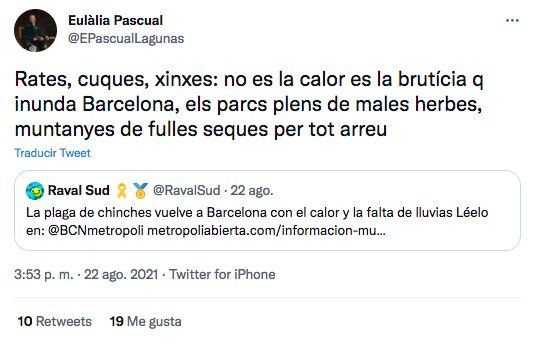 Vecinos protestan por la plaga de chinches en El Eixample y Sant Martí / TWITTER