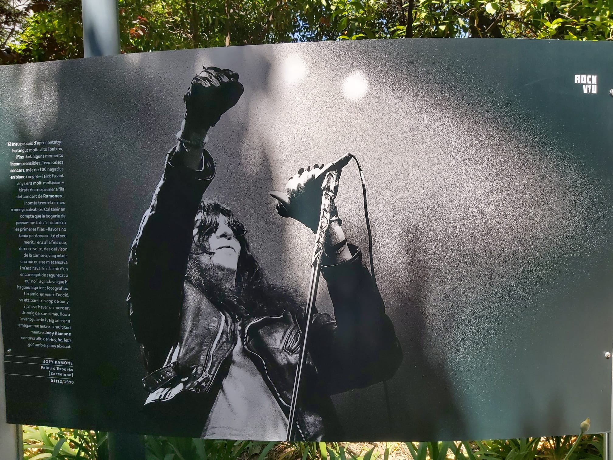 Joey Ramone en una foto de Xavier Mercadé / METRÓPOLI