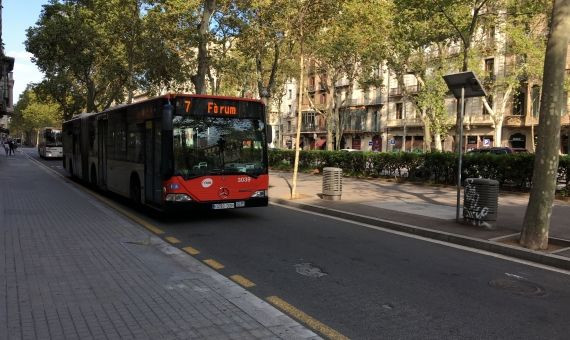 Carril bus/taxi de Gran Via en sentido Llobregat / RP