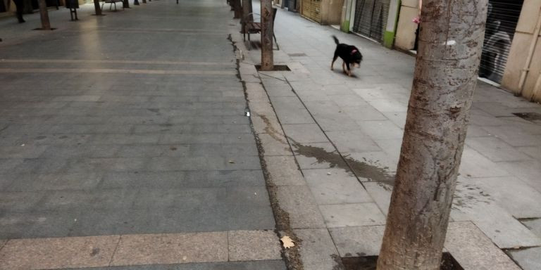 Orines de perro en la calle de Rogent / METRÓPOLI - JORDI SUBIRANA