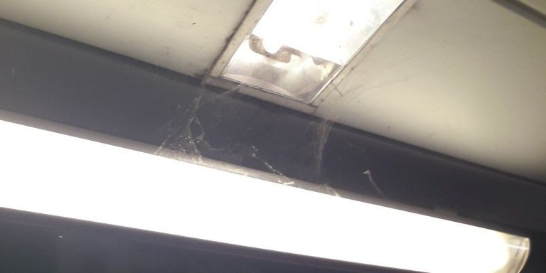 Una gran telaraña en el techo de la estación de Roquetes / TWITTER - DILOJAVI